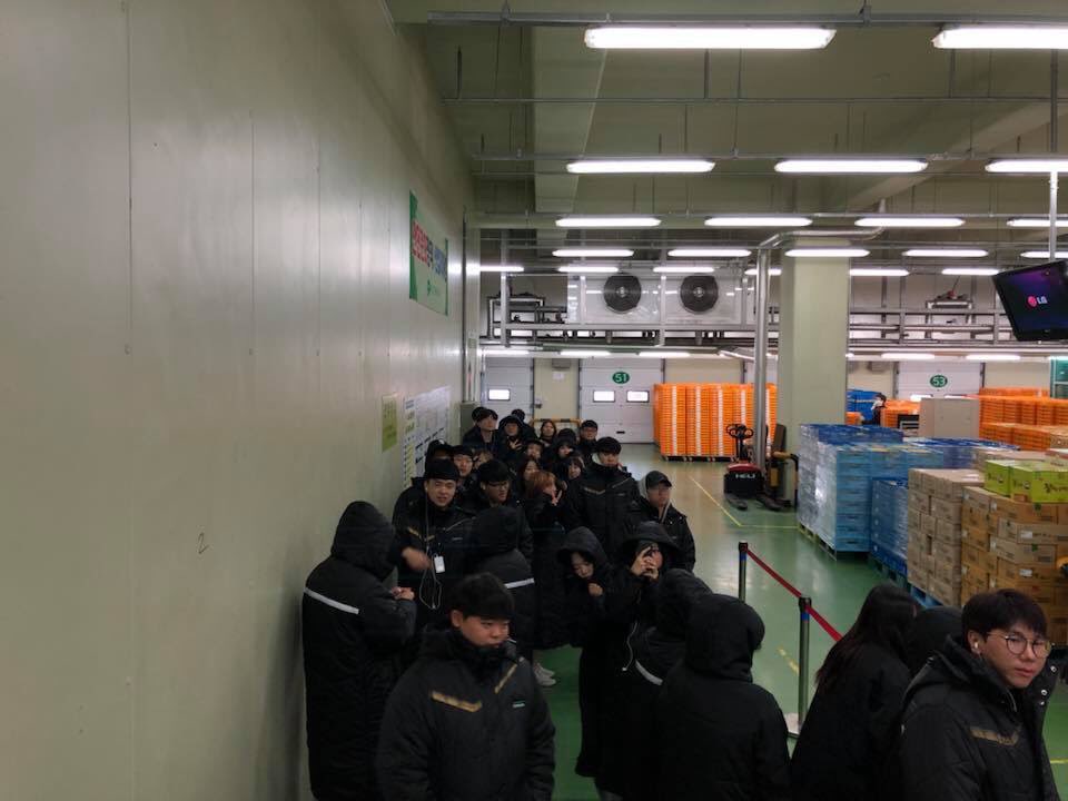 풀8.jpg