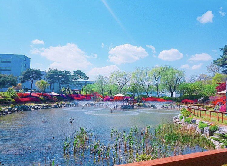 KakaoTalk_20170630_141737758.jpg