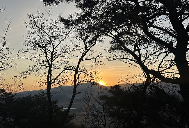 2026년 1월 1일 일출 해돋이 구경