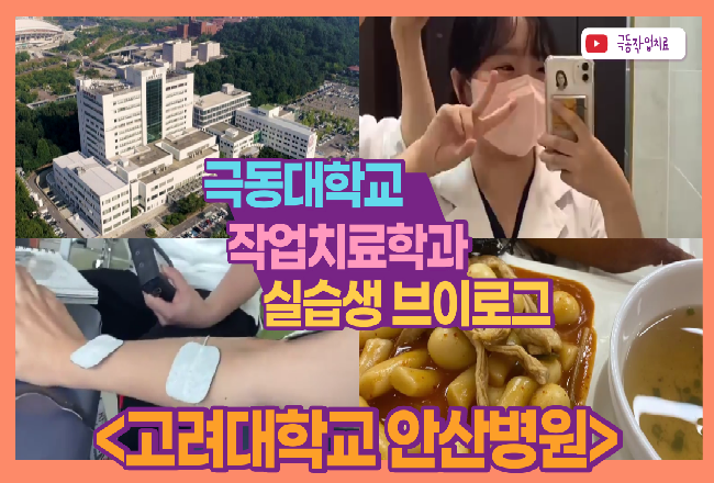 고려대학교 안산병원 실습생 브이로그