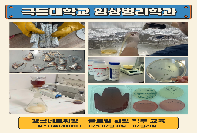 [경험네트워킹 프로그램] 글로벌 체외진단 현장직무교육