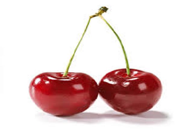 테스트